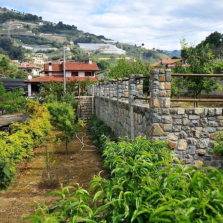 San Biagio della Cima Le Roseヴィラ エクステリア 写真