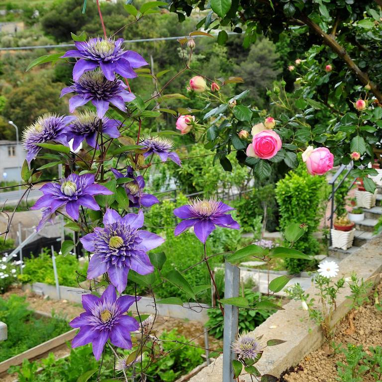 San Biagio della Cima Le Roseヴィラ エクステリア 写真