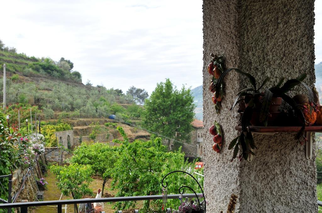 San Biagio della Cima Le Roseヴィラ エクステリア 写真