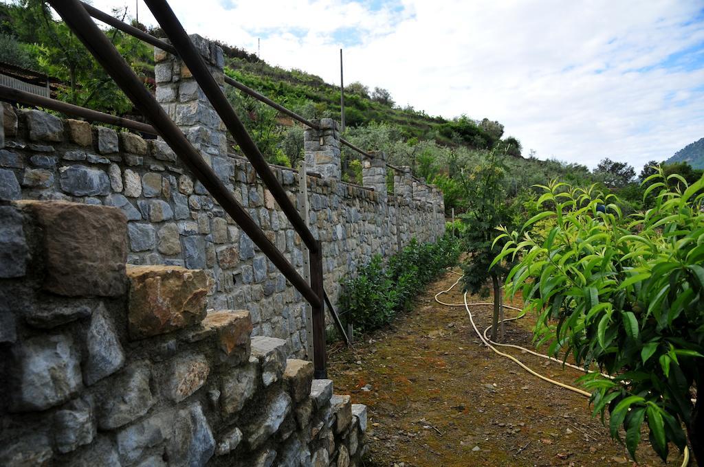 San Biagio della Cima Le Roseヴィラ エクステリア 写真